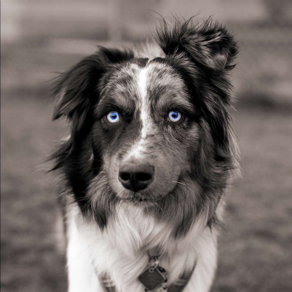 Meet your Posher, Christina